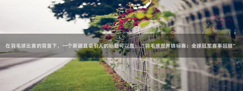 在羽毛球比赛的背景下，一个新颖且吸引人的标题可以是：“羽毛球
