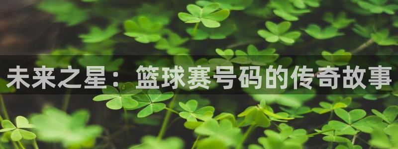 未来之星：篮球赛号码的传奇故事