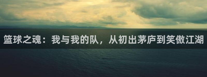 篮球之魂：我与我的队，从初出茅庐到笑傲江湖