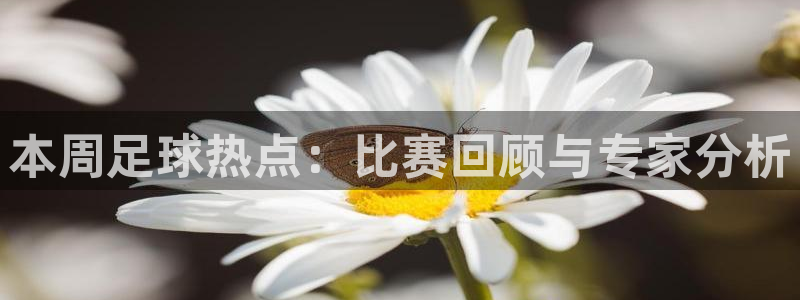 本周足球热点：比赛回顾与专家分析