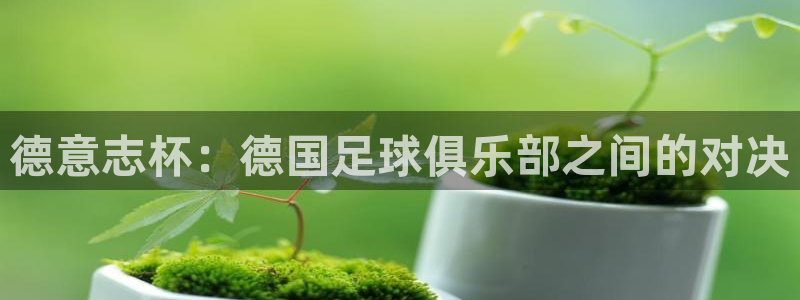熊猫体育下载免费手机：德意志杯：德国足球俱乐部之间的对决