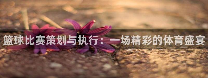 熊猫体育官网网址是多少：篮球比赛策划与执行：一场精彩的体育盛