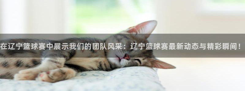 熊猫体育确实够黑：在辽宁篮球赛中展示我们的团队风采：辽宁篮球