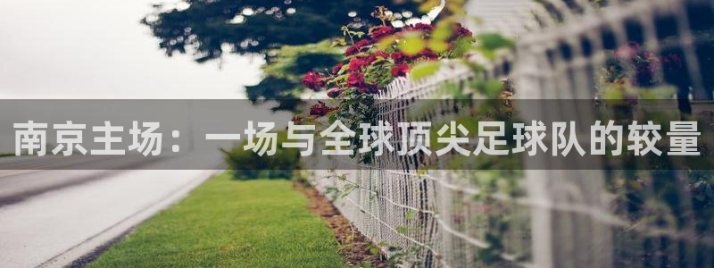 熊猫体育器材采购网站有哪些：南京主场：一场与全球顶尖足球队的